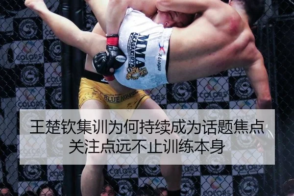 王楚钦集训为何持续成为话题焦点 关注点远不止训练本身